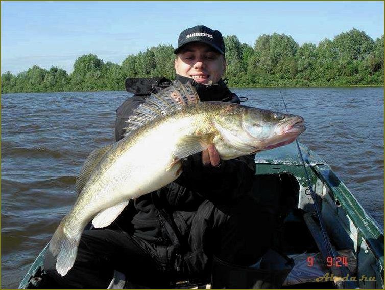 Отдых на реке Проня в Рязанской области — идеальное место для спокойного отдыха на природе