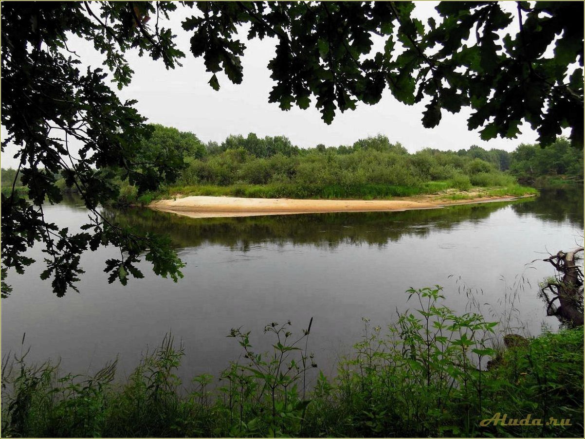 Отдых на реке Проня в Рязанской области — идеальное место для спокойного отдыха на природе