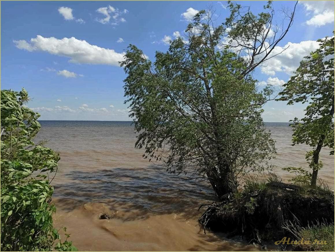 (отдых, реке, волга, саратовской, области) Отдых на реке Волга Саратовской области