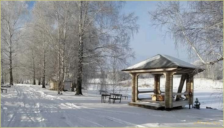 Отдых на Томской области