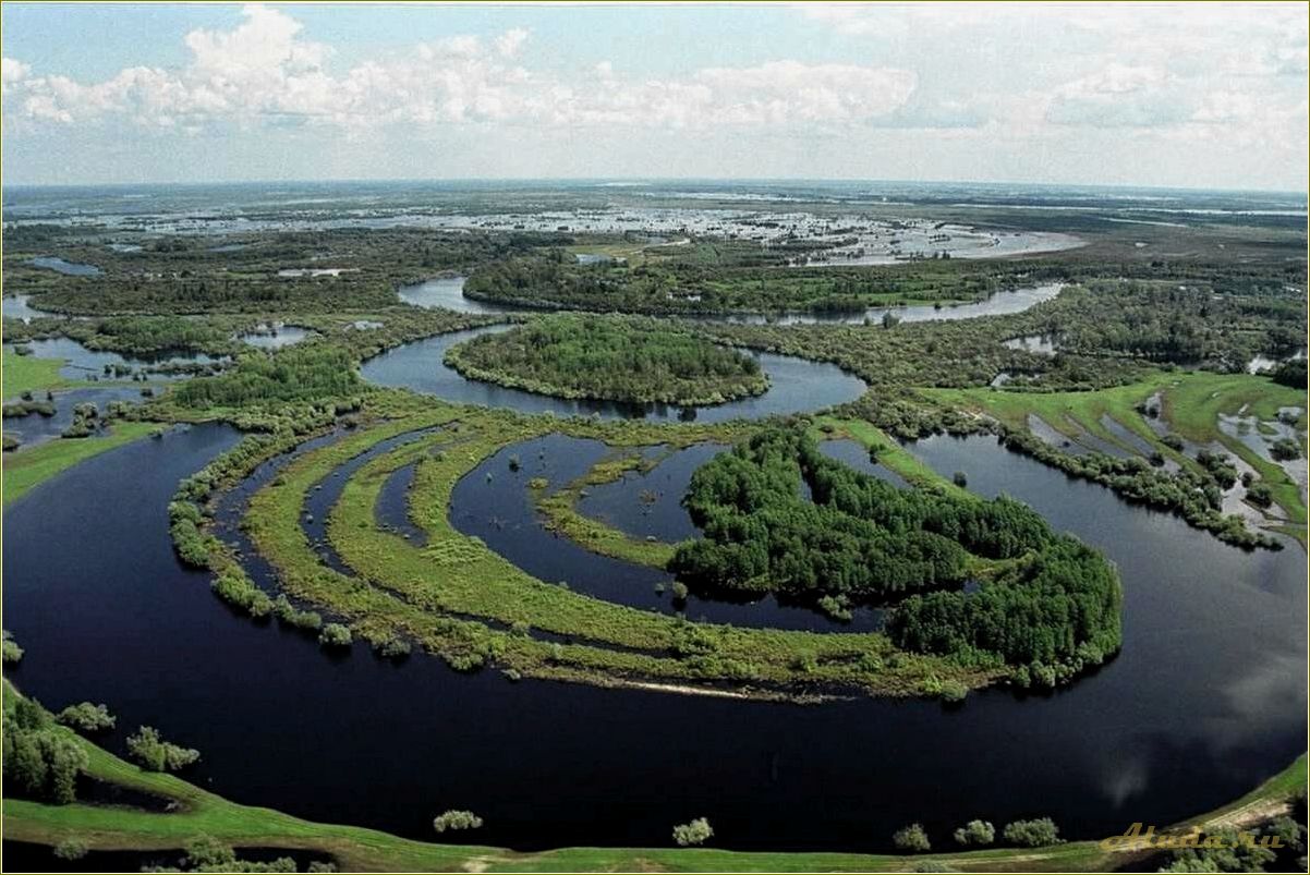 Отдых на Томской области