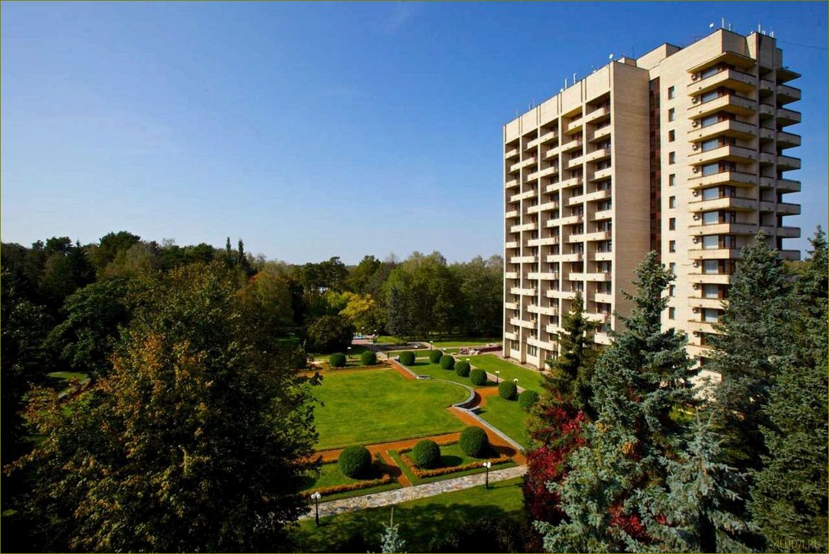 Отдых в Пушкинском районе Московской области — лучшие места для релакса и развлечений