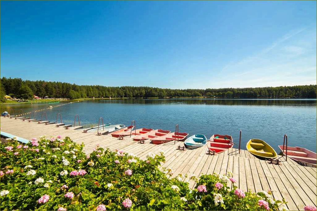 Скидки на отдых в Московской области — лучшие предложения для бюджетного отпуска