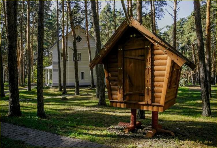 (отдых, уютных, домах, отдыха, живописной) Отдых в уютных домах отдыха в живописной омской области — насладитесь комфортом и природой