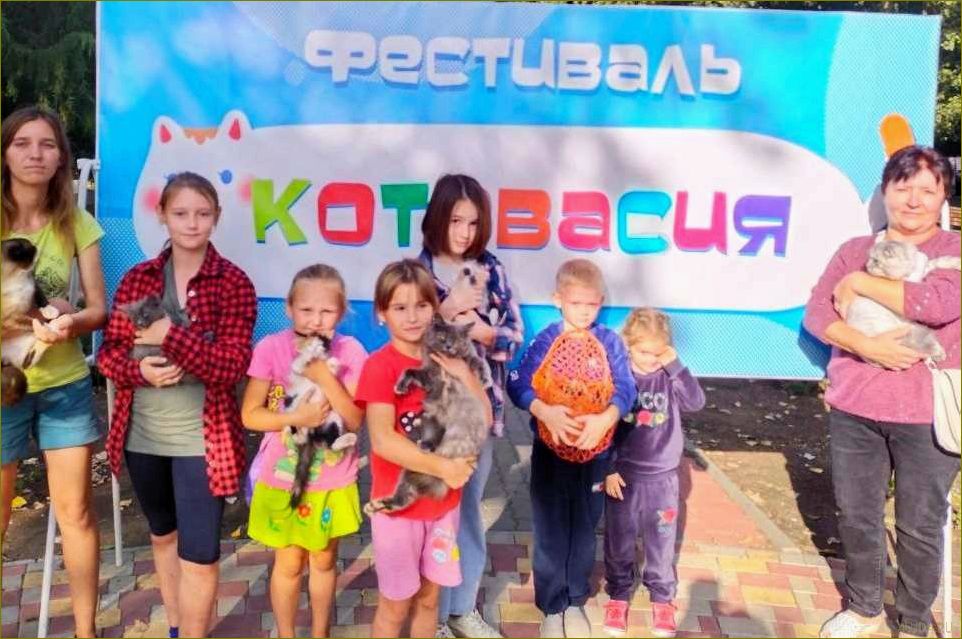 Природный рай в Котово — идеальное место для отдыха в Волгоградской области