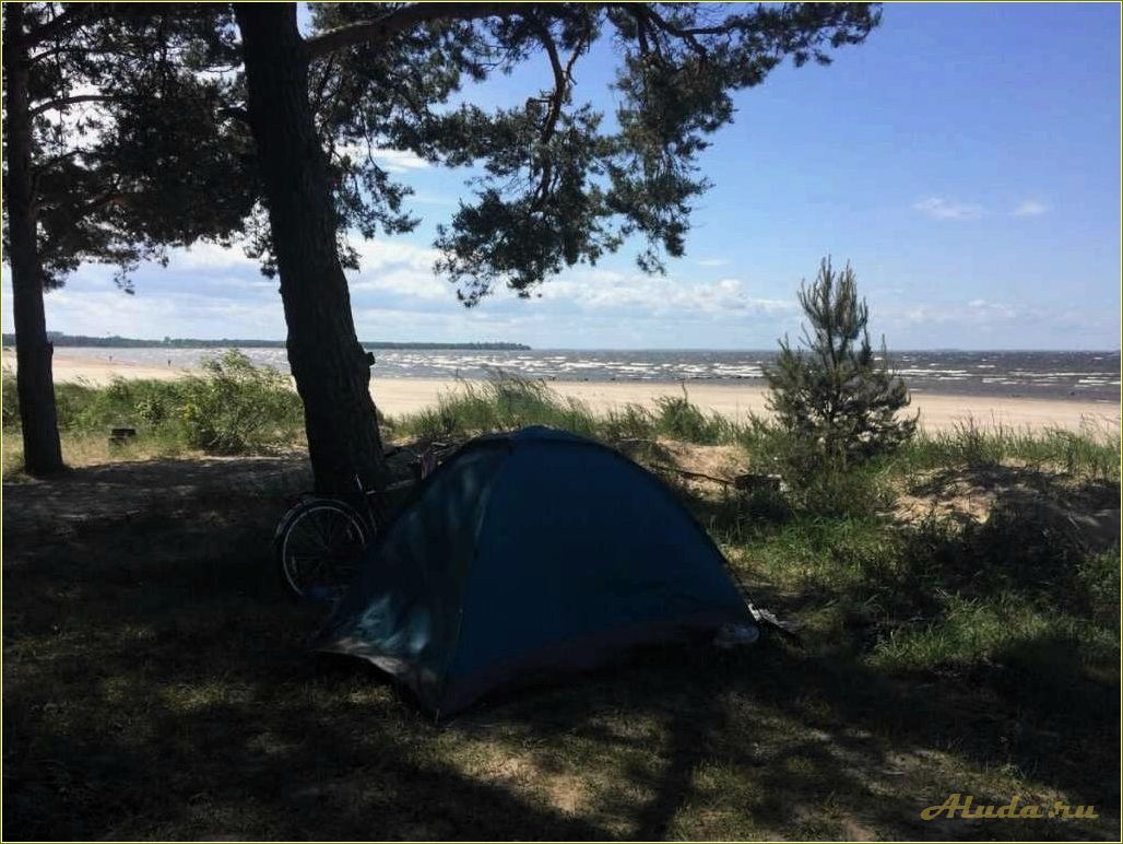 Отдых в палатке в Ульяновской области: лучшие места и советы