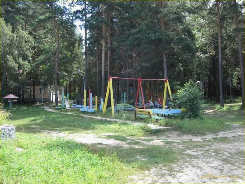 (отдых, пансионате, новосибирской, области, наслаждайтесь) Отдых в пансионате новосибирской области — наслаждайтесь красотой природы и комфортом отдыха