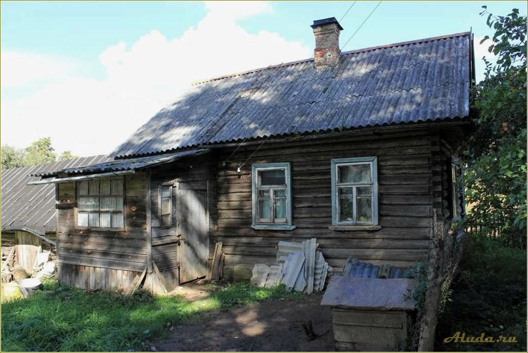 (отдых, верхоляне, псковской, области, идеальное) Отдых в верхоляне псковской области — идеальное место для уединения с природой и восстановления сил