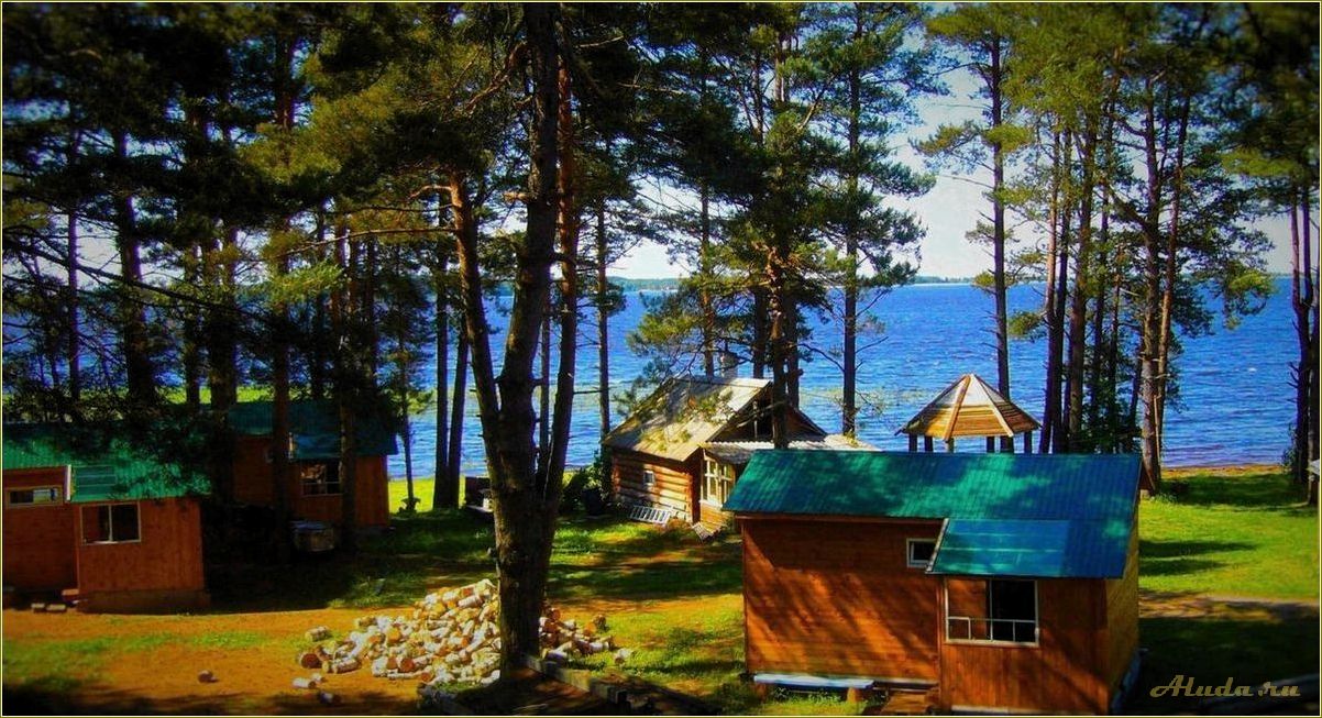 (отдых, верхоляне, псковской, области, идеальное) Отдых в верхоляне псковской области — идеальное место для уединения с природой и восстановления сил