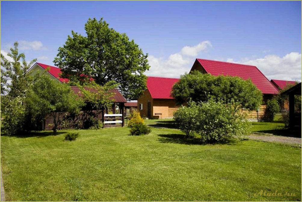 (отдых, верхоляне, псковской, области, идеальное) Отдых в верхоляне псковской области — идеальное место для уединения с природой и восстановления сил