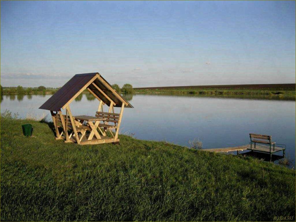 Отдых в белгородской области летом — наслаждайтесь природой и водной активностью у живописных водоемов