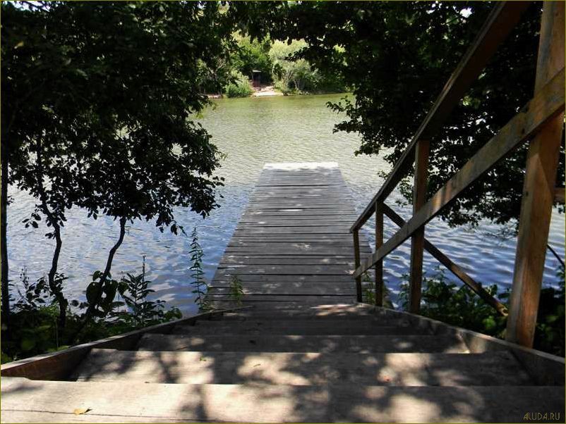 Отдых в белгородской области летом — наслаждайтесь природой и водной активностью у живописных водоемов