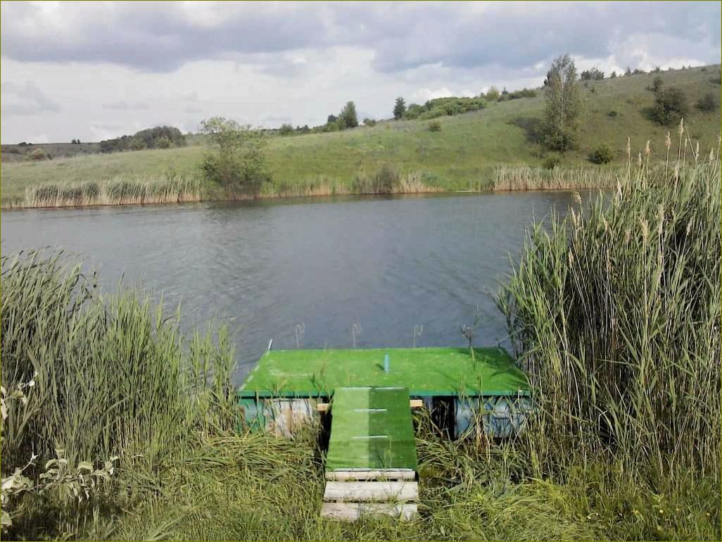 Отдых в белгородской области летом — наслаждайтесь природой и водной активностью у живописных водоемов