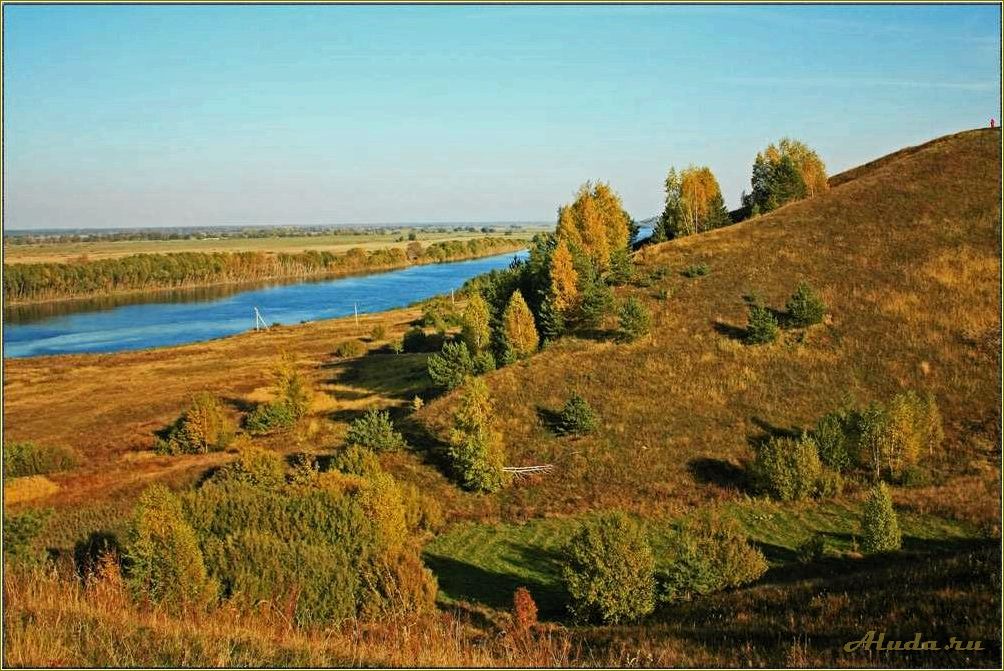 (отдых, базах, отдыха, константиново, рязанской) Отдых на базах отдыха в Константиново Рязанской области — лучшие варианты для семейного отдыха и активного времяпровождения