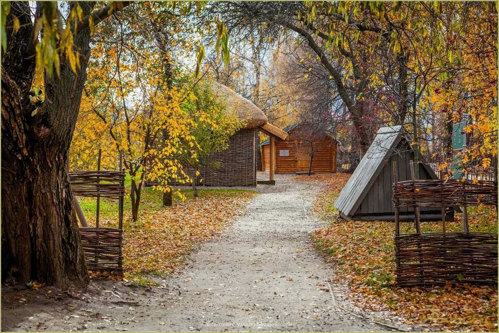 (отдых, базах, отдыха, константиново, рязанской) Отдых на базах отдыха в Константиново Рязанской области — лучшие варианты для семейного отдыха и активного времяпровождения