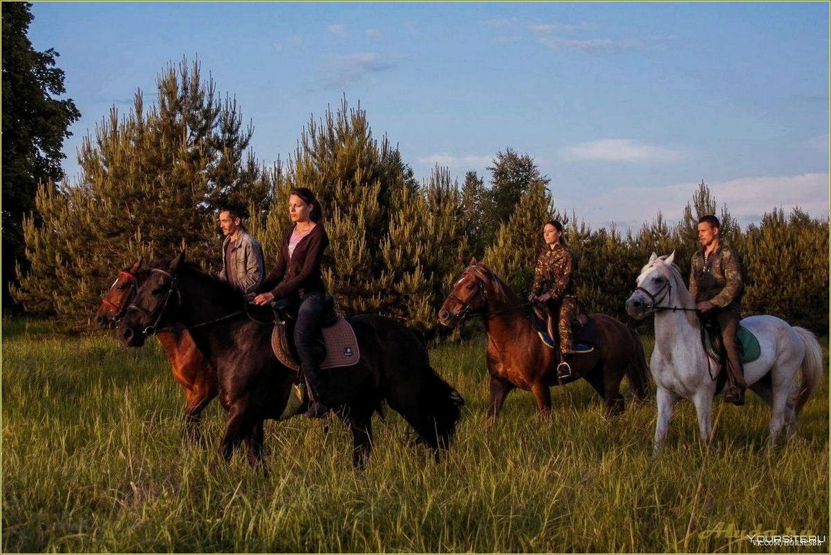 (отдых, лошадях, ярославской, области) Отдых на лошадях в Ярославской области