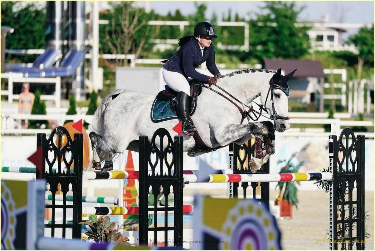 (отдых, лошадях, ярославской, области) Отдых на лошадях в Ярославской области