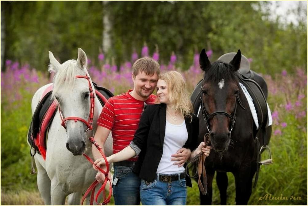 (отдых, лошадях, ярославской, области) Отдых на лошадях в Ярославской области