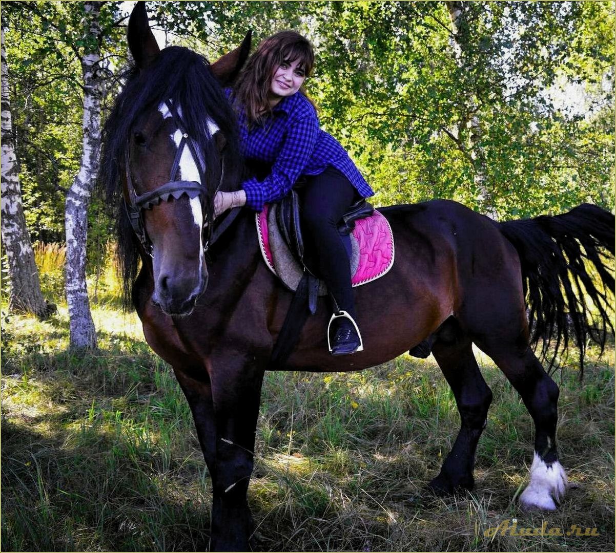 (отдых, лошадях, ярославской, области) Отдых на лошадях в Ярославской области