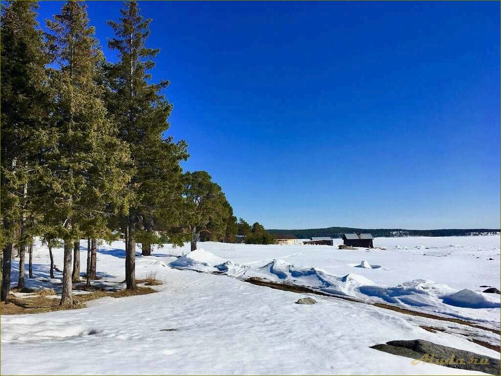 (отдых, белого, моря, мурманская, область) Отдых у Белого моря — Мурманская область и ее базы отдыха