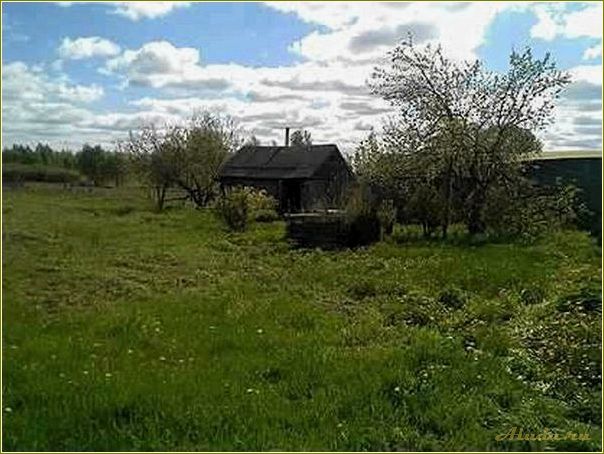 (отдых, дубровке, рязанская, область, шиловский) Отдых в Дубровке, Рязанская область, Шиловский район — идеальное место для релаксации и наслаждения природой