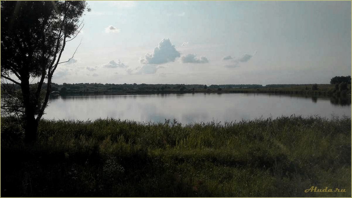 (отдых, дубровке, рязанская, область, шиловский) Отдых в Дубровке, Рязанская область, Шиловский район — идеальное место для релаксации и наслаждения природой