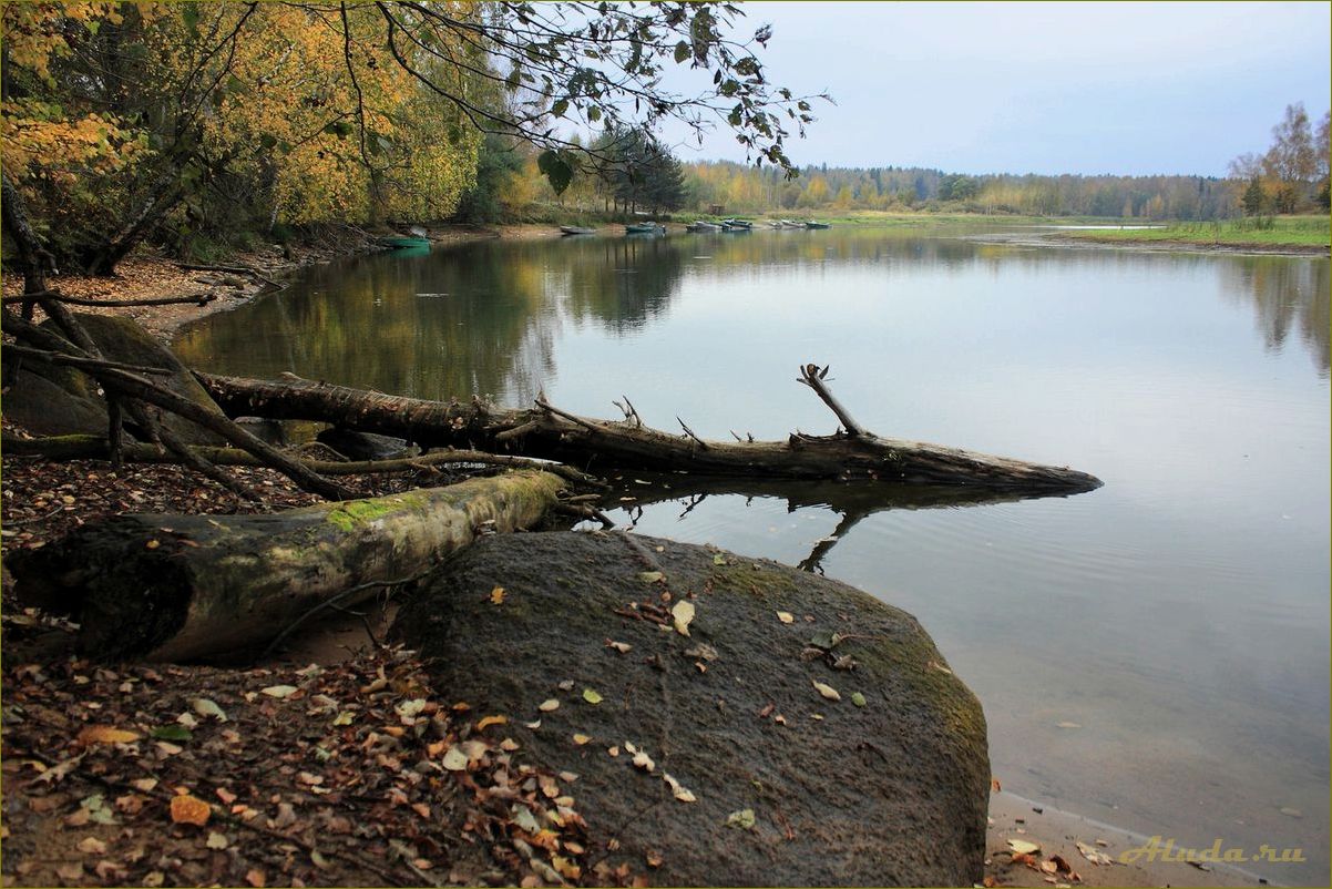 Отдых в ярославской области у реки или озера