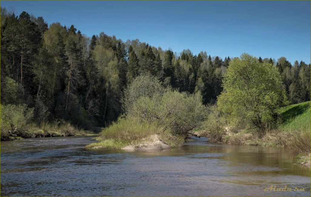 Отдых в ярославской области у реки или озера