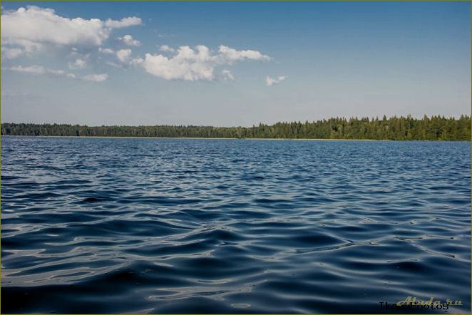 Отдых в ярославской области у реки или озера