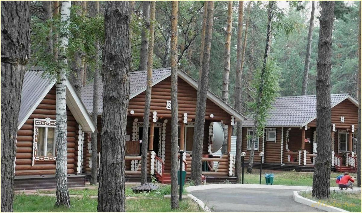 (отдых, шигонах, самарская, область, бассейном) Отдых в шигонах самарская область с бассейном — где провести незабываемые летние каникулы в окружении природы и комфорта