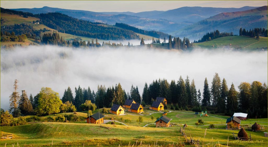 (отдых, тюменской, области, летом, лучшие) Отдых в Тюменской области летом: лучшие места и развлечения