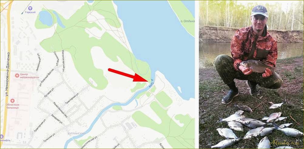 Озера новосибирской области — идеальные места для отдыха и рыбалки среди живописной природы