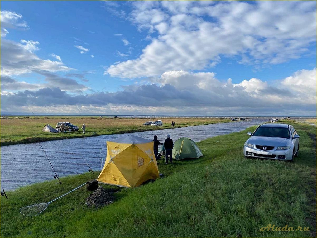Озера новосибирской области — идеальные места для отдыха и рыбалки среди живописной природы