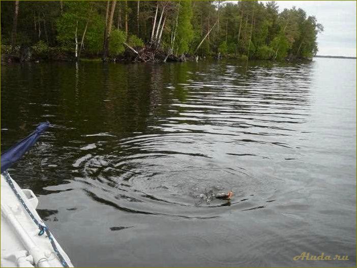 Озера новосибирской области — идеальные места для отдыха и рыбалки среди живописной природы
