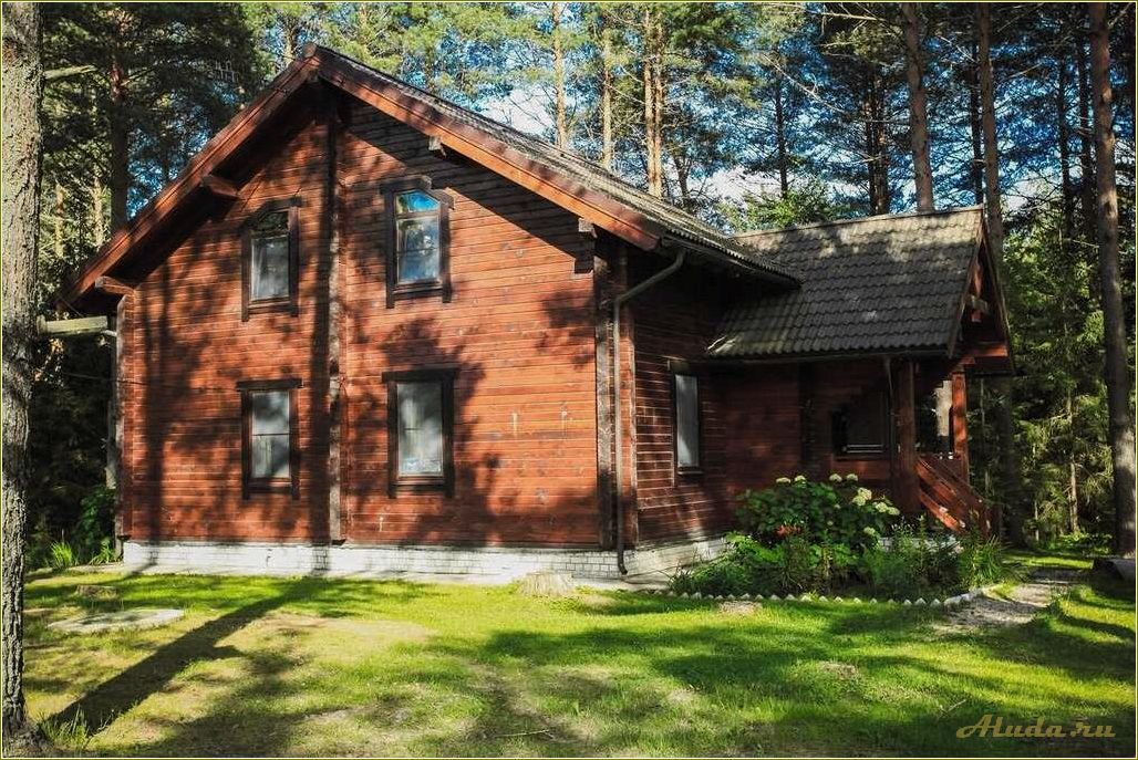 (озера, тверской, области, отдых, берегу) Озера Тверской области: отдых на берегу