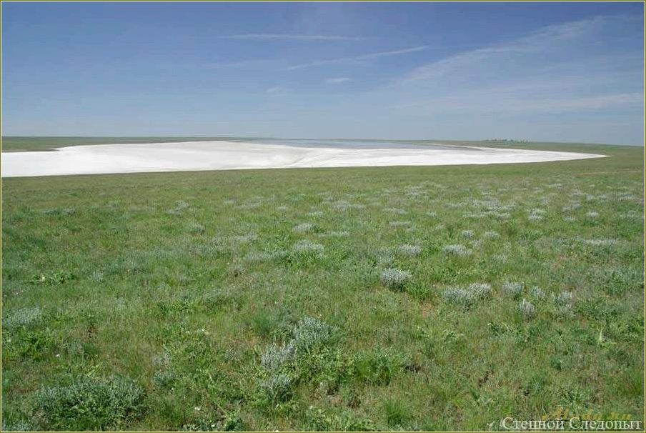 Озеро Грузское в Ростовской области — идеальное место для отдыха и релаксации