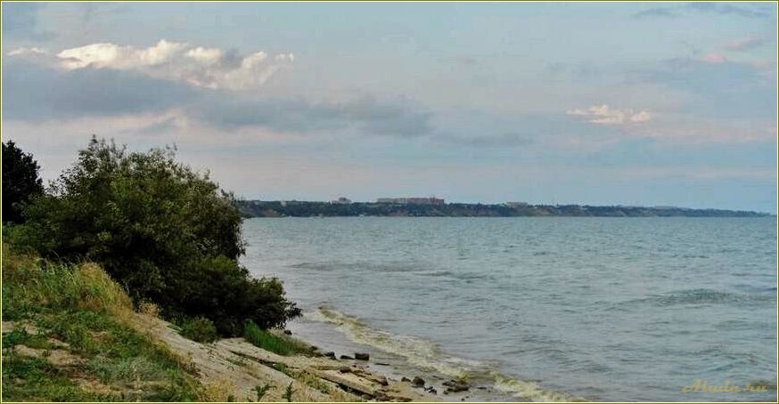 Петрушино — ростовская область, база отдыха в живописном уголке природы