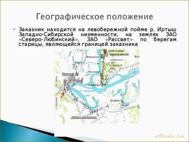 (пойма, любинская, отличное, место, отдыха) Пойма Любинская — отличное место для отдыха в Омской области