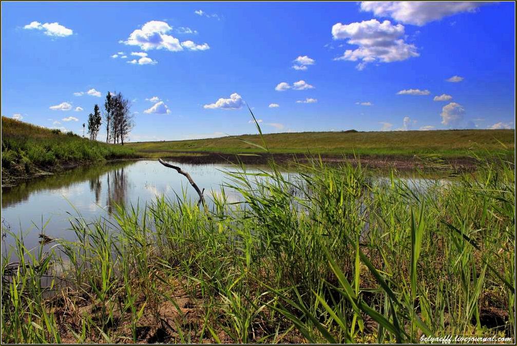 (пойма, любинская, отличное, место, отдыха) Пойма Любинская — отличное место для отдыха в Омской области