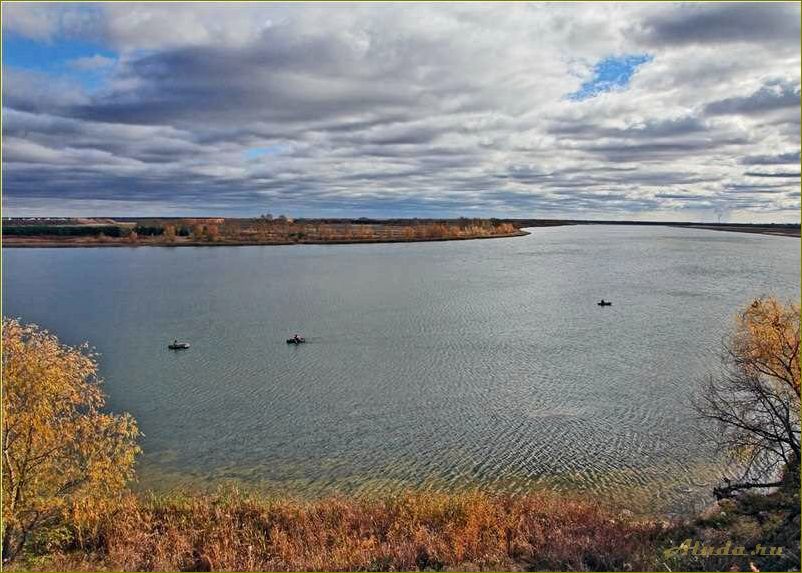 (пойма, любинская, отличное, место, отдыха) Пойма Любинская — отличное место для отдыха в Омской области