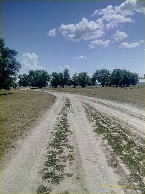 (пойма, любинская, отличное, место, отдыха) Пойма Любинская — отличное место для отдыха в Омской области