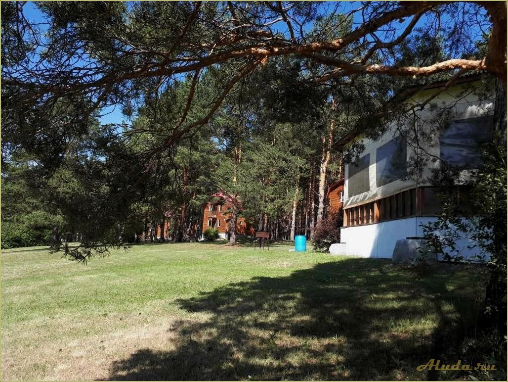 Покровское Свердловская область отдых