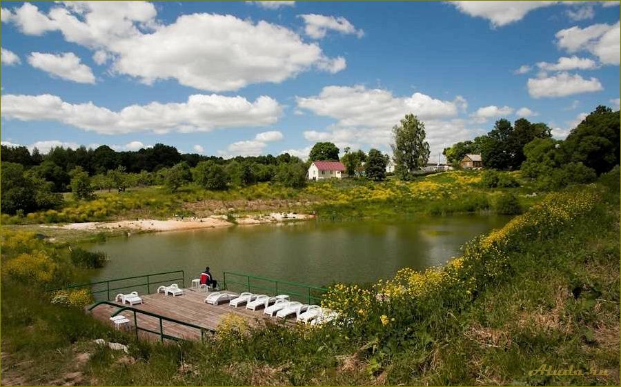 Пруды Орловской области — идеальное место для отдыха с комфортабельными домиками в окружении природы