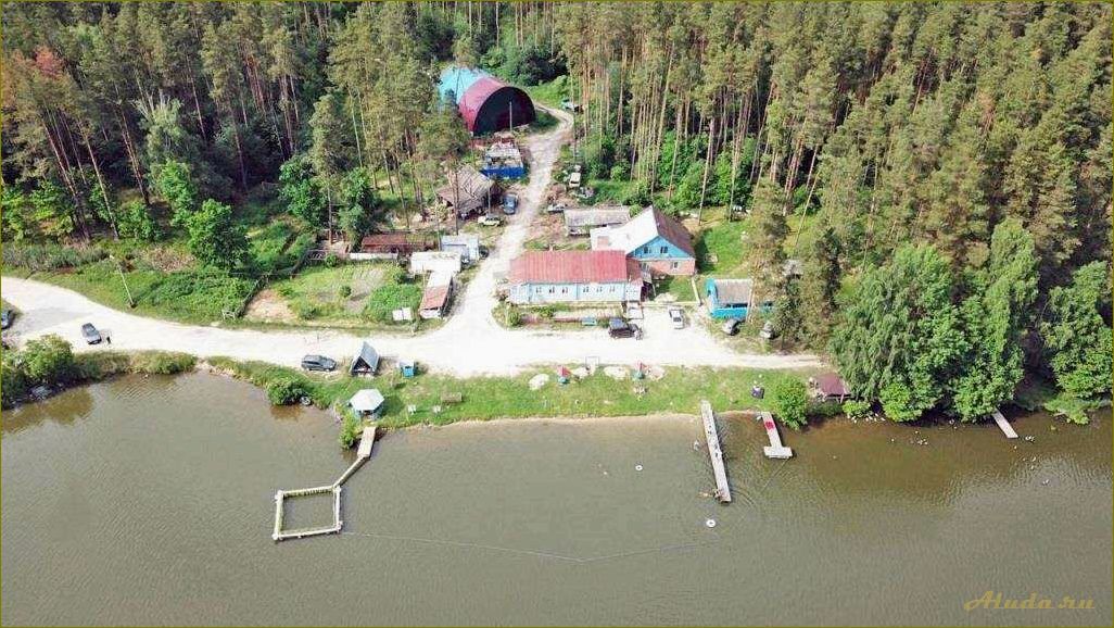 Пруды Орловской области — идеальное место для отдыха с комфортабельными домиками в окружении природы