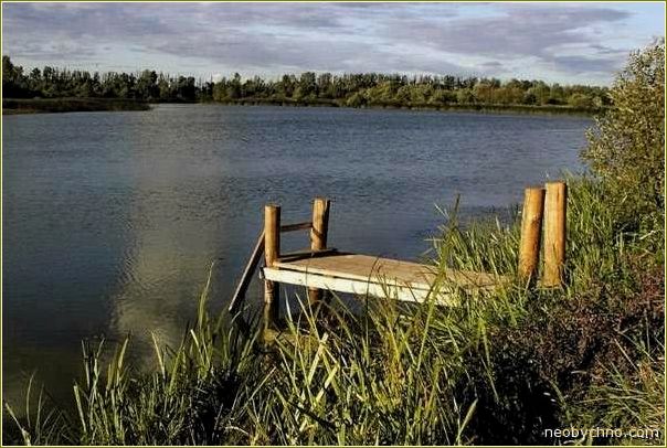 Рай в Смоленской области: деревня с базой отдыха