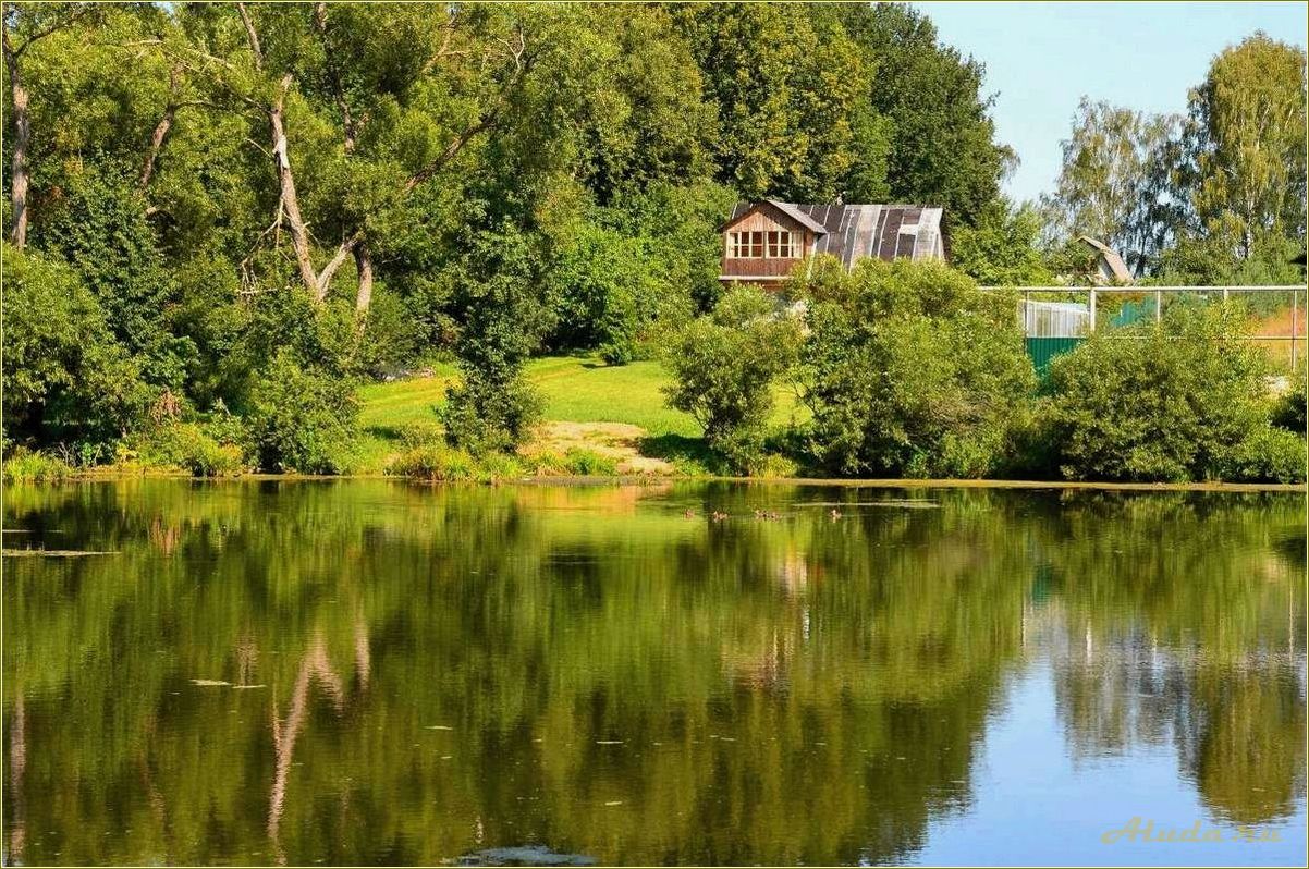 Рай в Смоленской области: деревня с базой отдыха