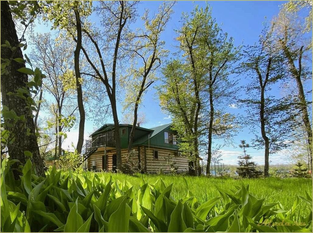 Лучшие базы отдыха Саратовской области — рейтинг и обзор