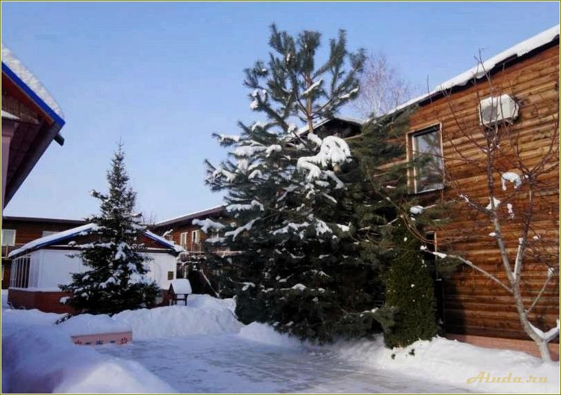 Лучшие базы отдыха Саратовской области — рейтинг и обзор