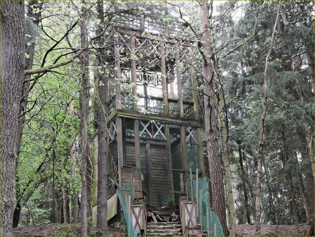 Репино — ленинградская область, достопримечательности пенаты и прекрасная природа