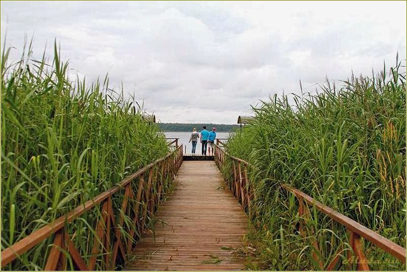 (смоленская, область, рыболовная, база, отдыха) Смоленская область: рыболовная база отдыха